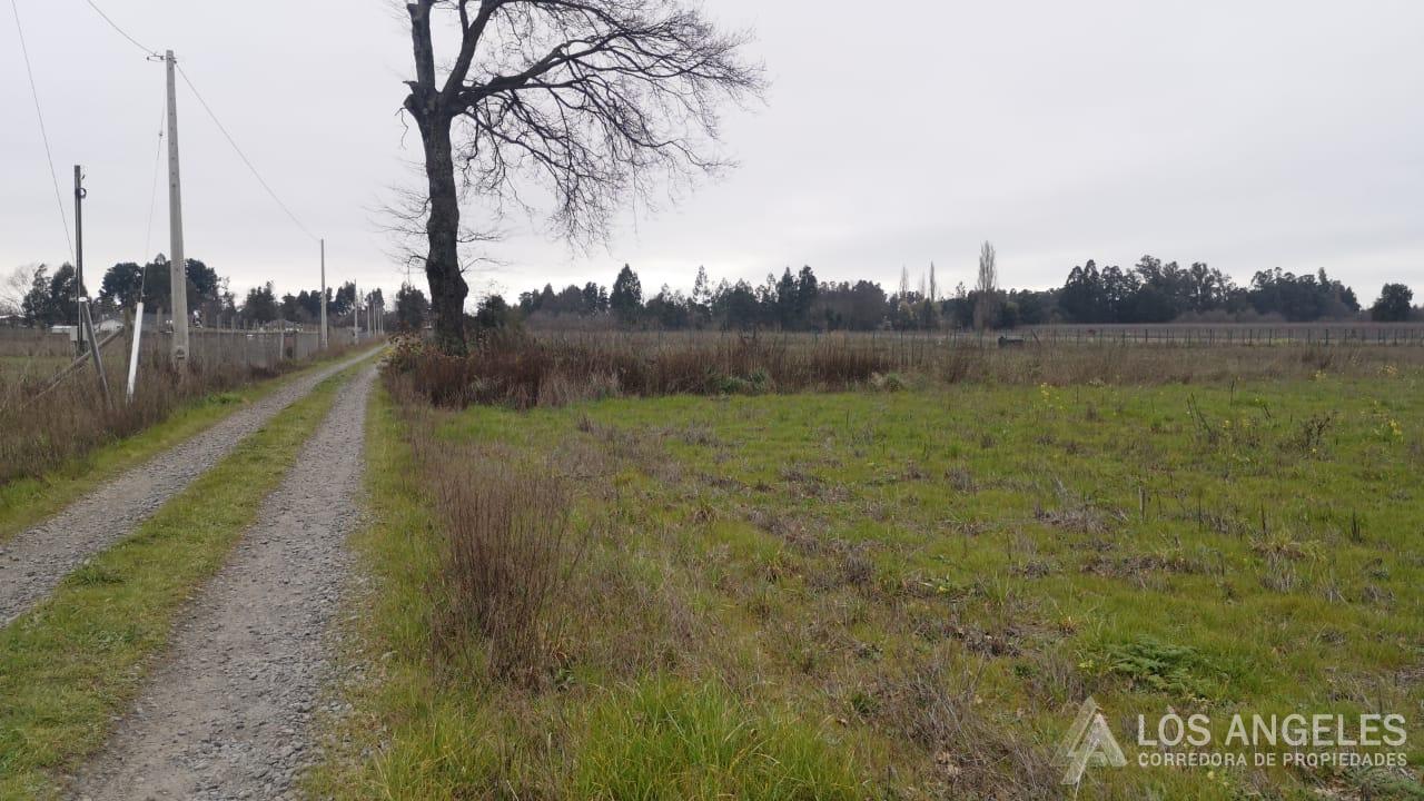 Terreno Imperdible Km 12,5 Camino a Antuco